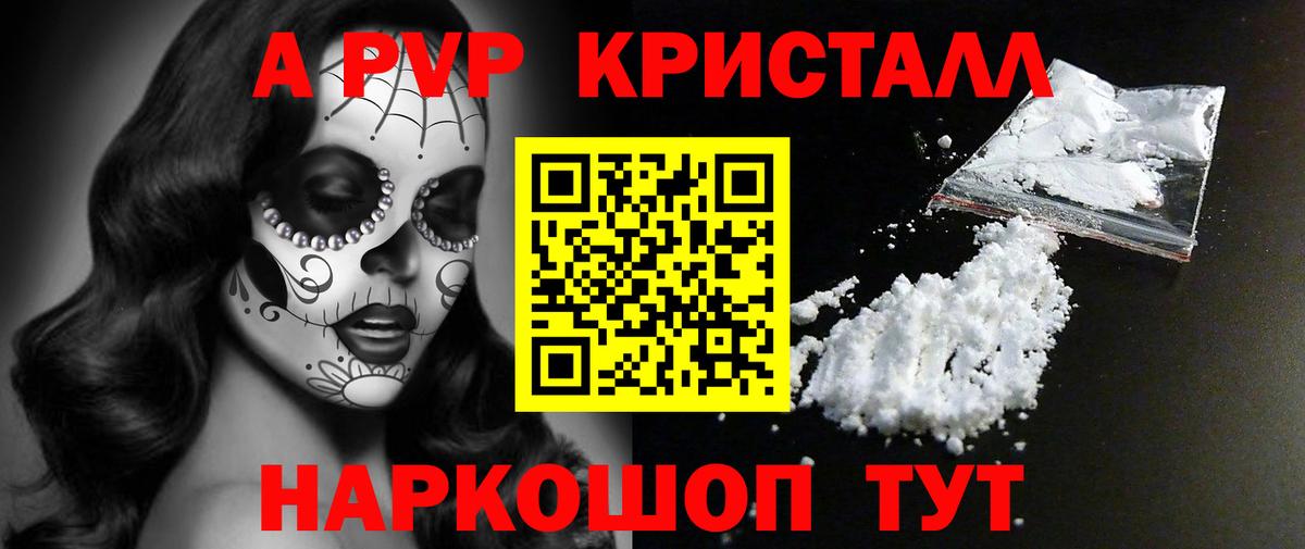 APVP СК Кузнецк