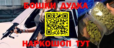 гидропоника Кингисепп