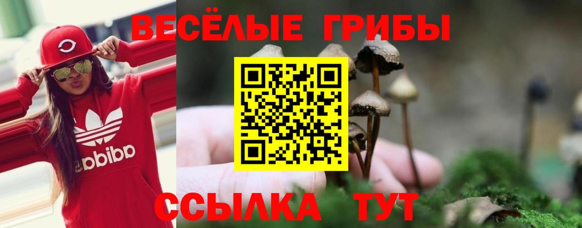 Галлюциногенные грибы прущие грибы  Галлюциногенные грибы MAGIC MUSHROOMS  Кузнецк  Вход с VPN 