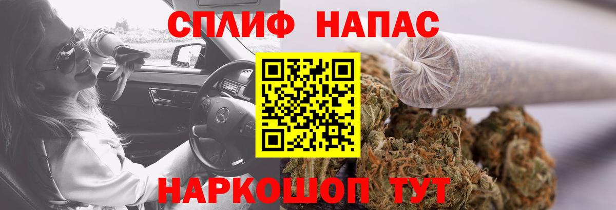Шишки марихуана семена  МАРИХУАНА план  Вход с VPN  Канабис семена  Каннабис тримм  Кузнецк 